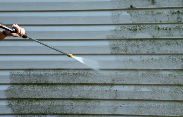 Best Commercial Pressure Washing  in Natalbany, LA