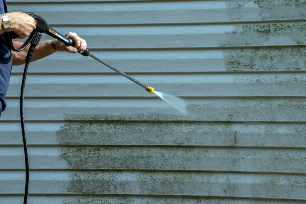 Best Pressure Washing Patio  in Natalbany, LA