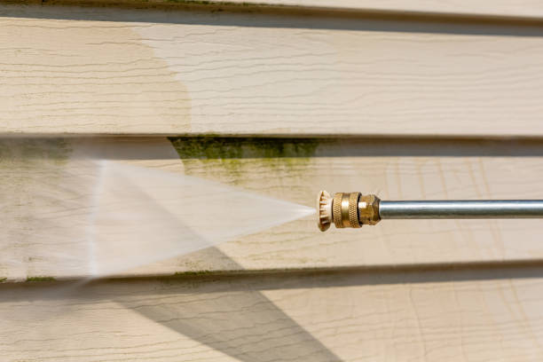 Best Power Washing Near Me  in Natalbany, LA